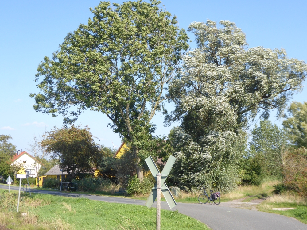 P1000633